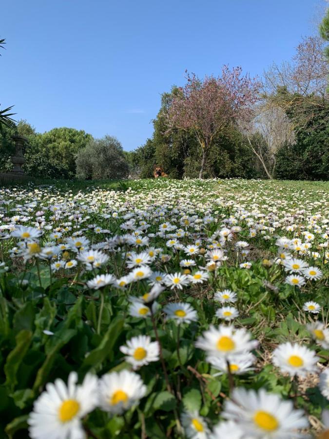 Le Jardin De Lacoste Narbonne Exterior photo